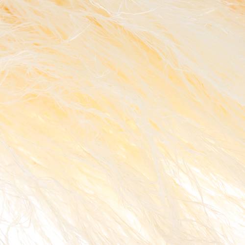 Pampas gebleicht 90cm