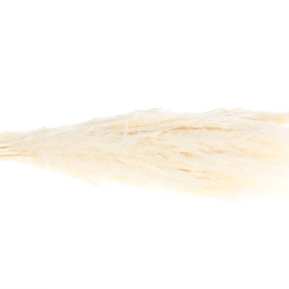 Pampas gebleicht 90cm