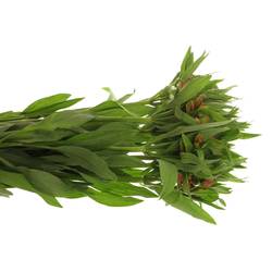 Alstroemerie orange Party 50 Gramm 75cm