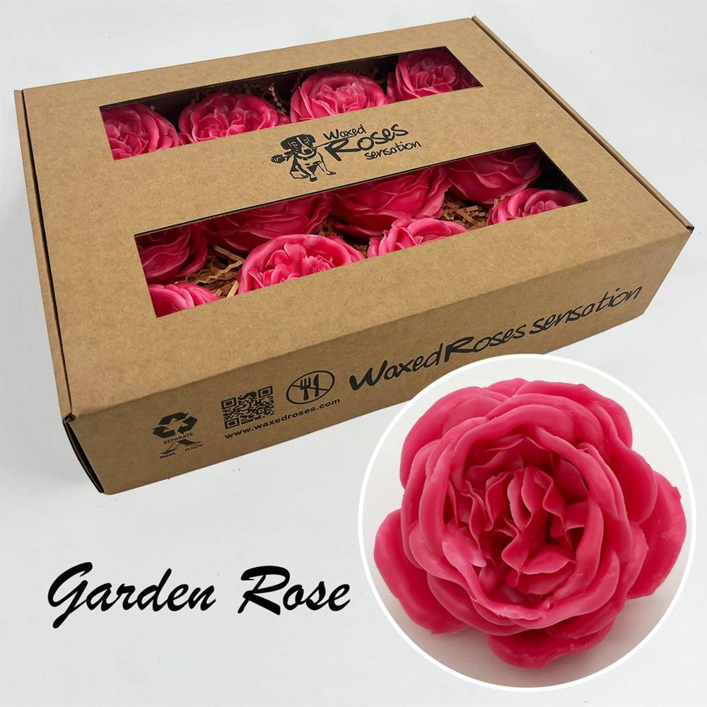 Seiden Wachs Gartenrose fuchsia