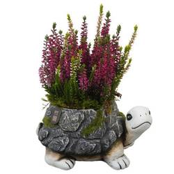Garten.Arr PTHO7718 Herbst T21 H027