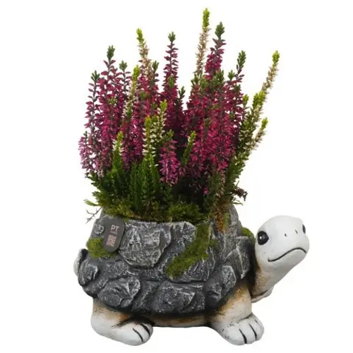 Garten.Arr PTHO7718 Herbst T21 H027