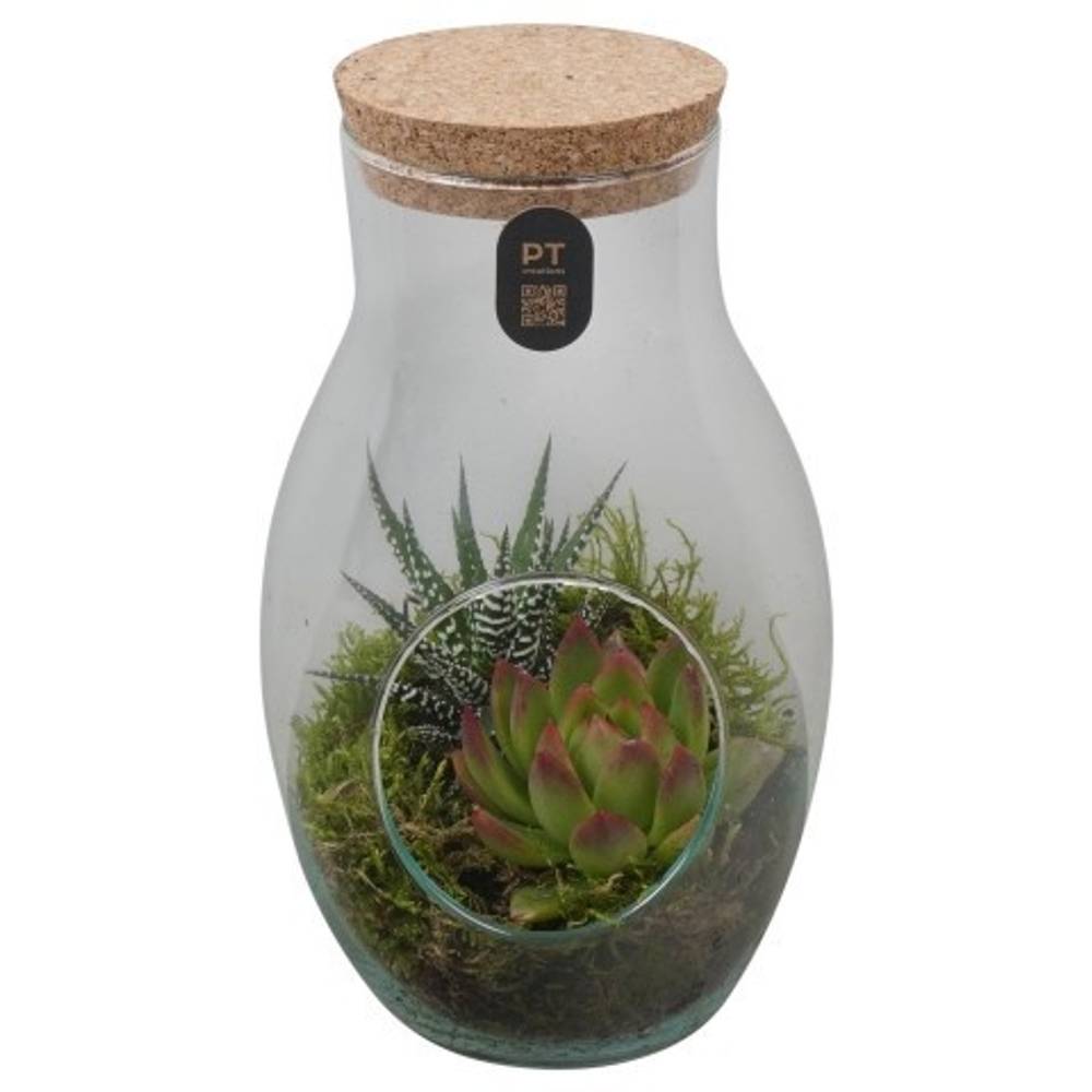 Flor.Arr PTIG2689 T13 H022