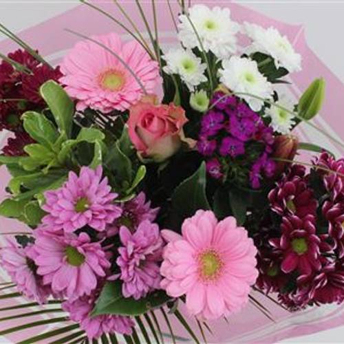 Strauß rosa Supra 14 Stiele 50cm