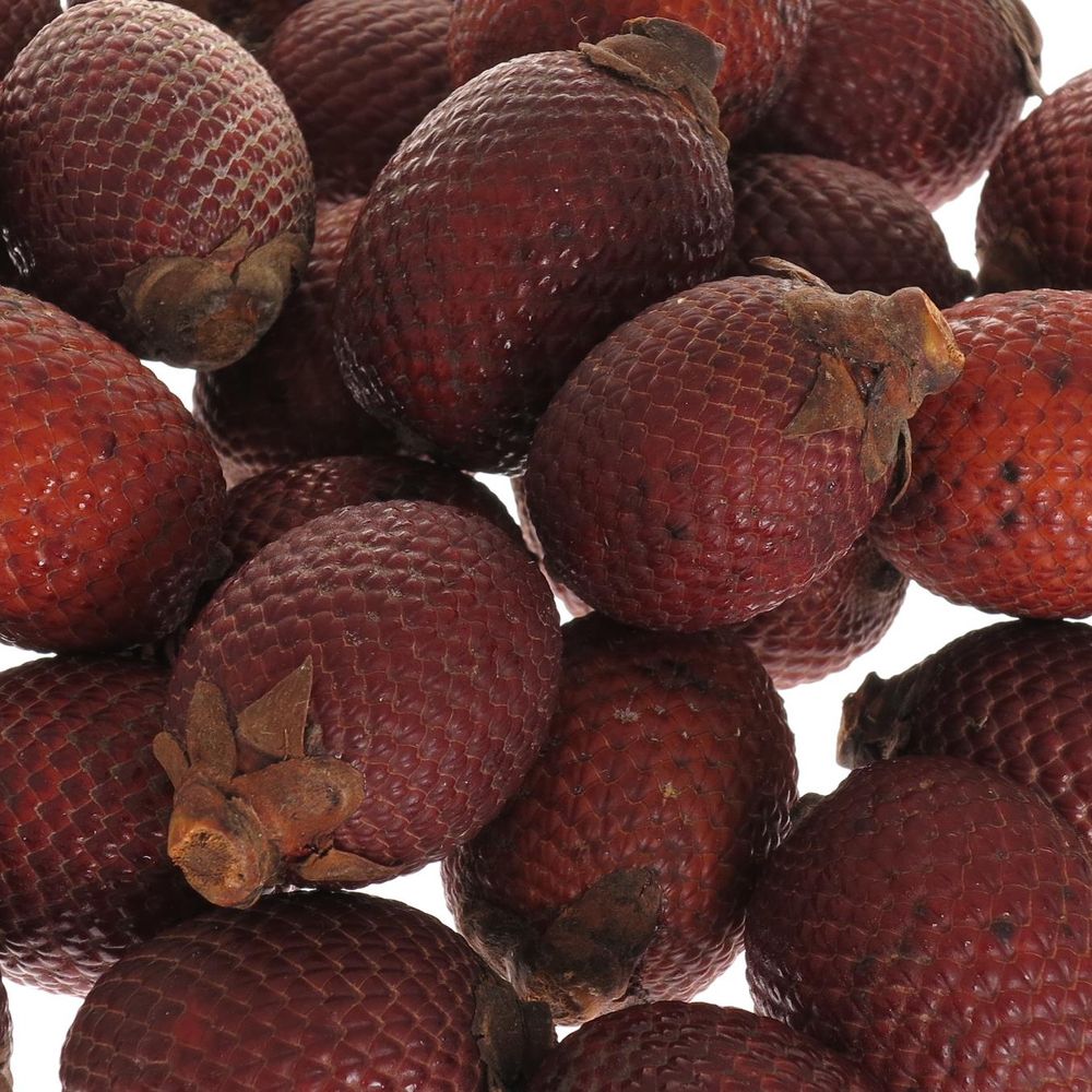 Mauritzia Frucht rot