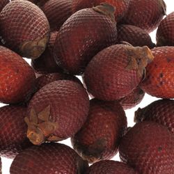 Mauritzia Frucht rot