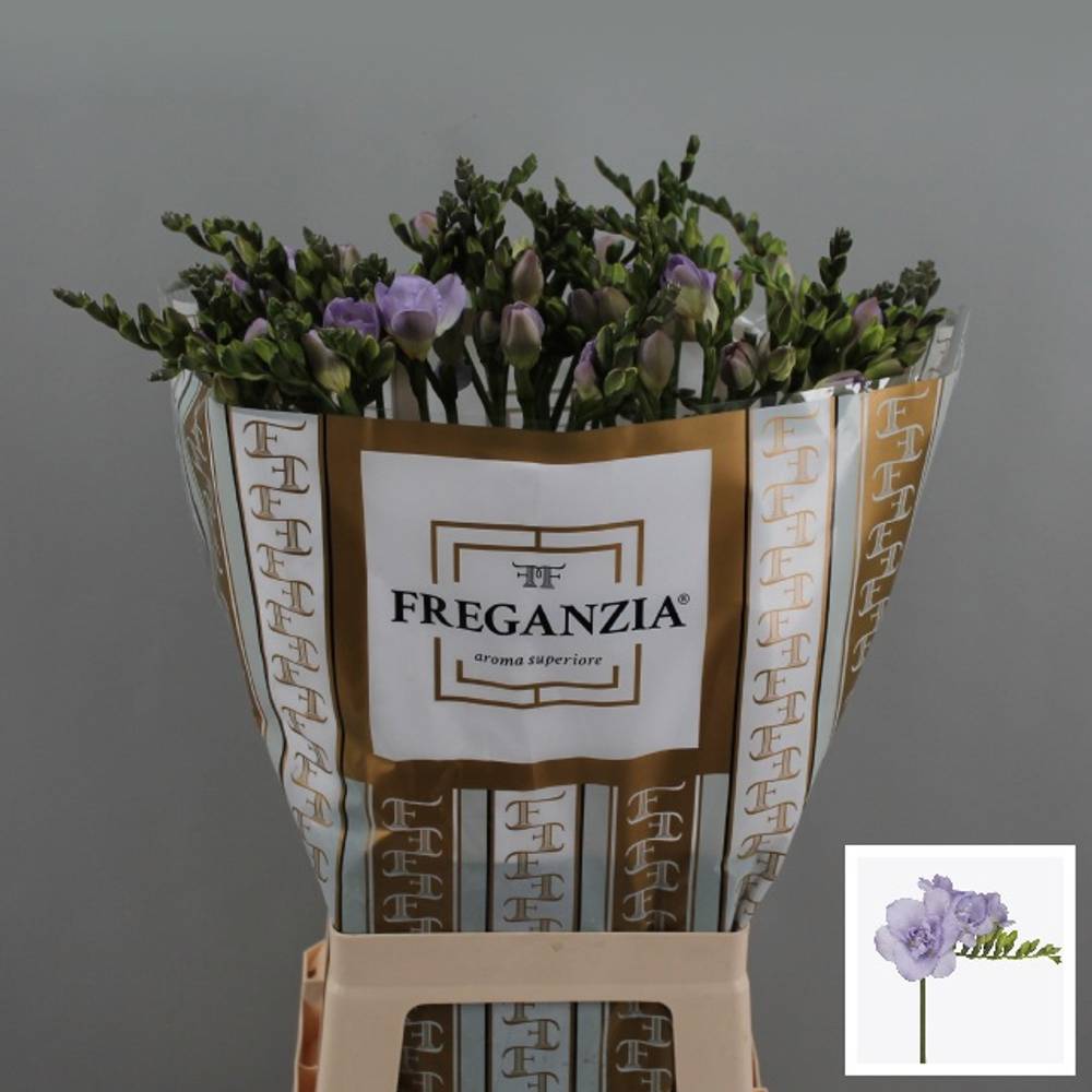 Freesie milka Nice 64 Gramm Ex