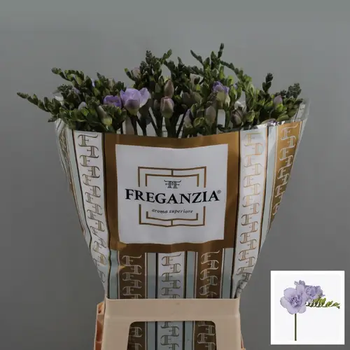 Freesie milka Nice 64 Gramm Ex