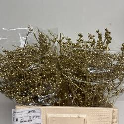 Ilex gold gefarbt 60cm