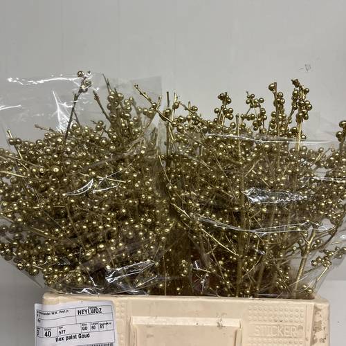 Ilex gold gefarbt 60cm