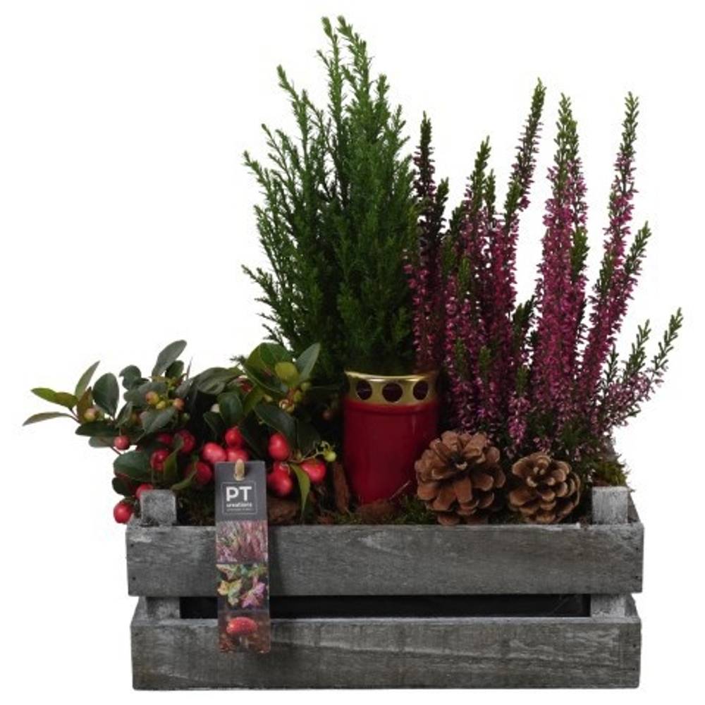 Garten.Arr PTAH8680 Allerheiligen T30 H040