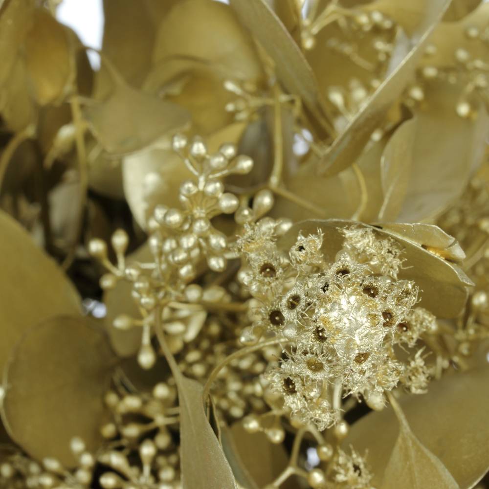 Populus gold Frucht 150 Gramm 50cm