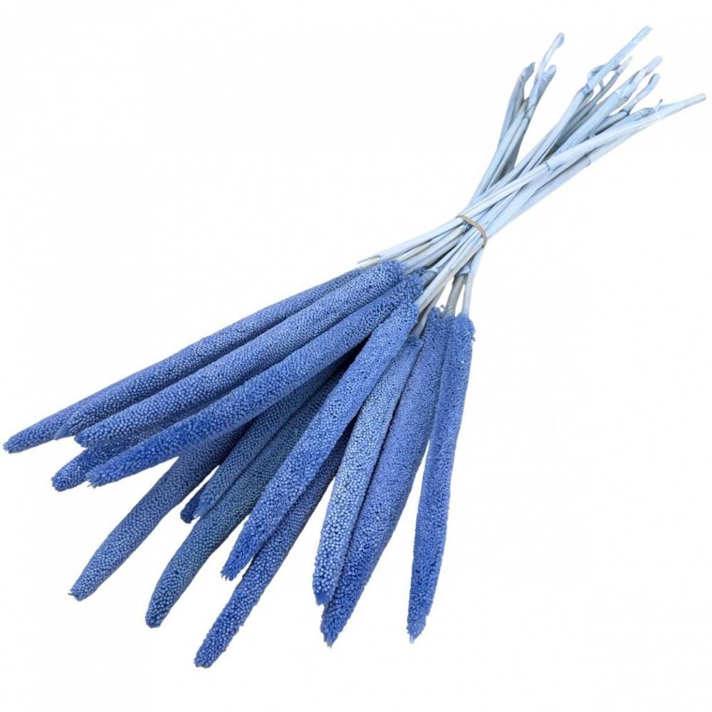 Trocken Babala blau L70cm x15