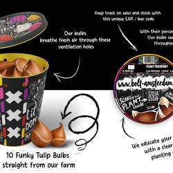 Tulpen mix x10 im Dose