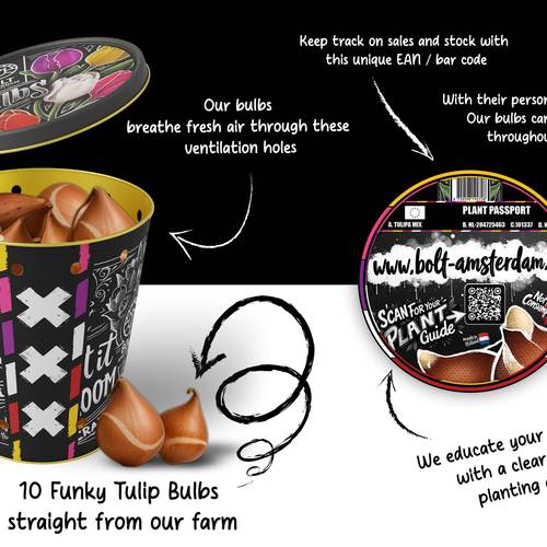 Tulpen mix x10 im Dose