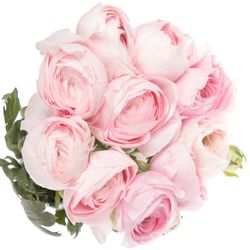 Ranunkel rosa hell Cloni Super Rosado 40cm