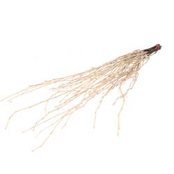 Trocken Birke Zweig 70cm