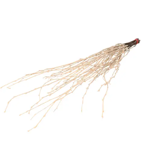 Trocken Birke Zweig 70cm