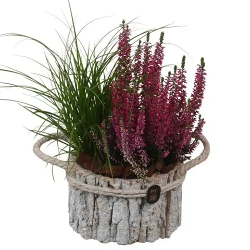 Garten.Arr PTHO7659 Herbst T17 H033