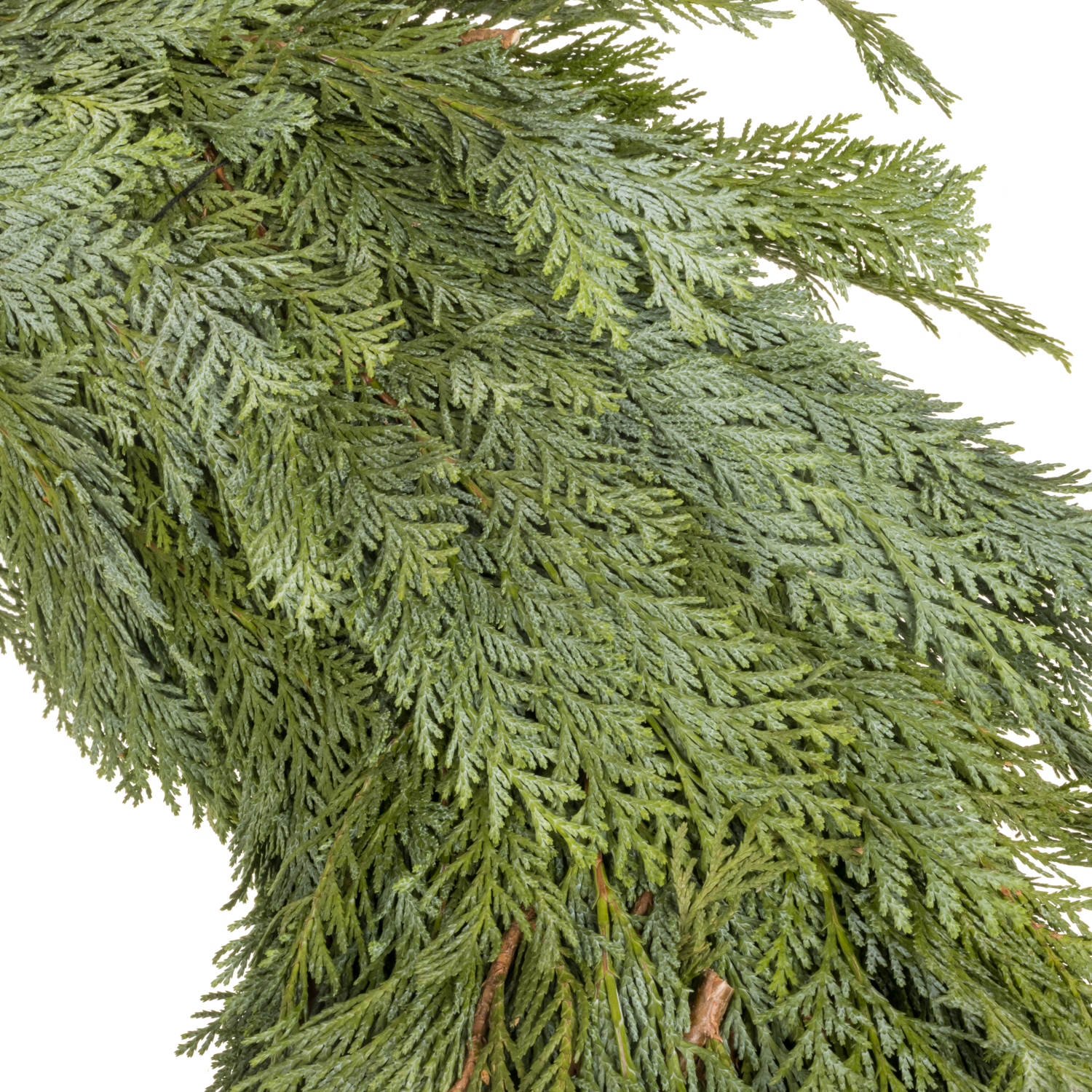 Kranz blau/grün Thuja halb gebunden 65cm