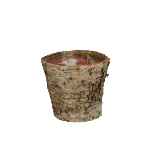 Birke Übertopf Rund natur D11cm H09cm