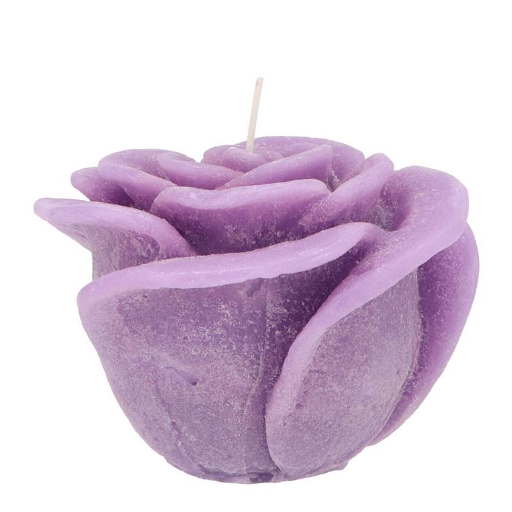 Kerze Rose lila D11cm H09cm