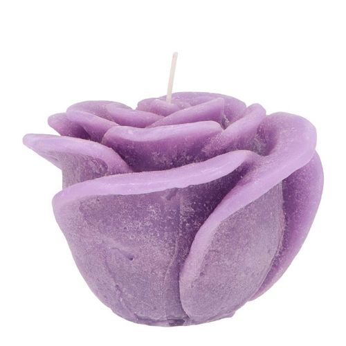 Kerze Rose lila D11cm H09cm