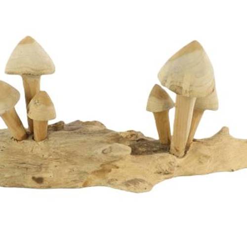 Teakholz Pilz natur 50x14x20cm
