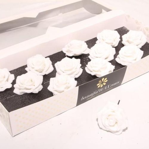 Seiden Wachs Rose weiss schnee d10cm (800) Diamond