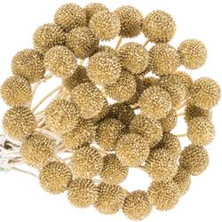 Craspedia gold gefärbt 70cm