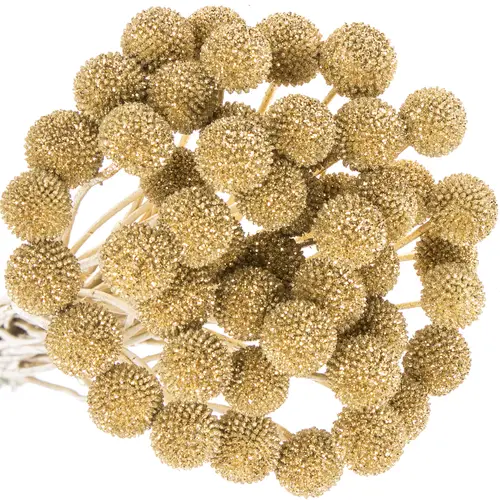 Craspedia gold gefärbt 70cm