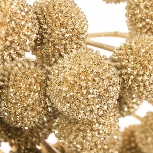 Craspedia gold gefärbt 70cm