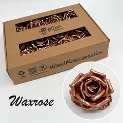 Seiden Wachs Rose kupfer