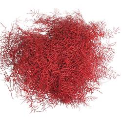 Coralfarn Gef.rot