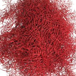 Coralfarn Gef.rot