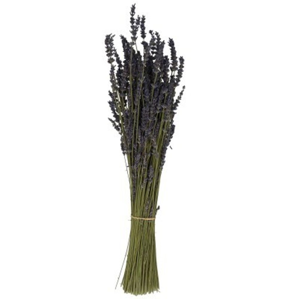 Trocken Lavendel 100gr