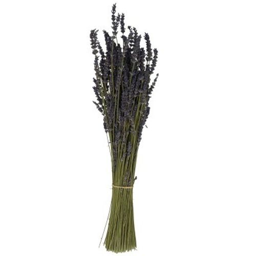 Trocken Lavendel 100gr
