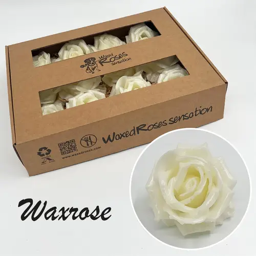 Seiden Wachs Rose weiss