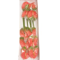 Anthurium rosa Senator Blüte 15cm