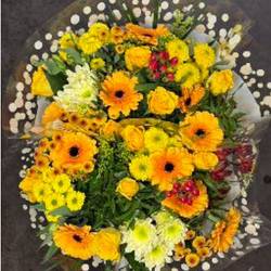 Strauß gelb mix/grün Rosen-Germini 25 Stiele 50cm