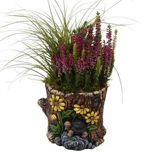 Garten.Arr PTHO7715 Herbst T17 H030