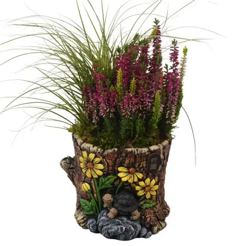 Garten.Arr PTHO7715 Herbst T17 H030