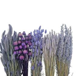 Trocken DIY Box assorti violett L65-70cm