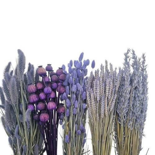 Trocken DIY Box assorti violett L65-70cm