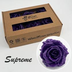 Seiden Wachs Rose Supreme lila