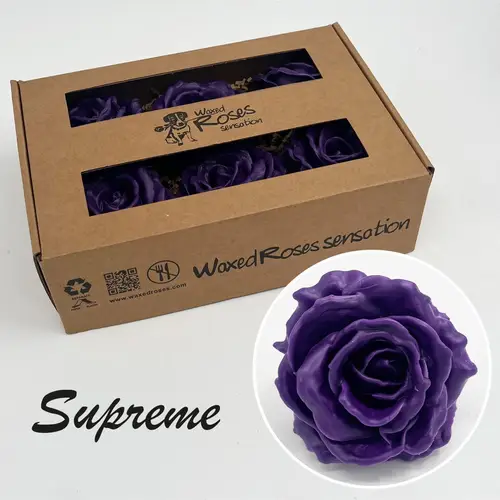Seiden Wachs Rose Supreme lila