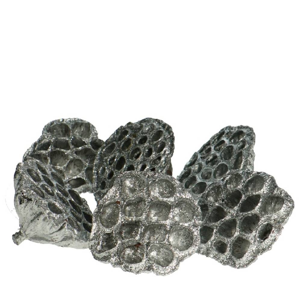 Deko Lotus Glitzer silber D08/10cm x6 