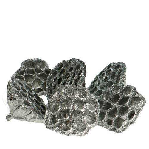 Deko Lotus Glitzer silber D08/10cm x6 