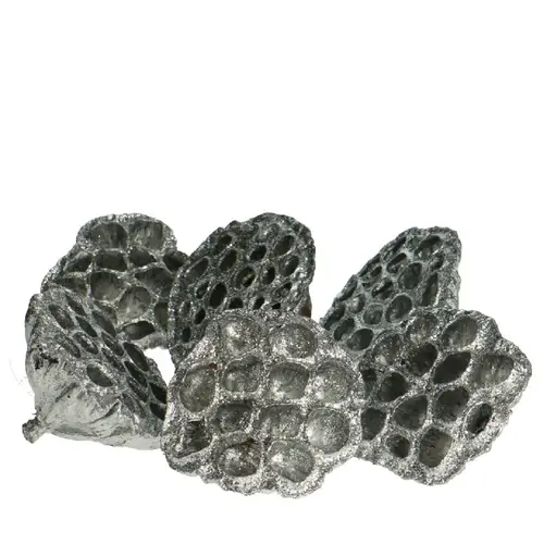 Deko Lotus Glitzer silber D08/10cm x6 