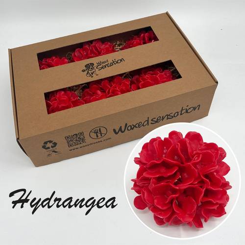Seiden Wachs Hortensie rot